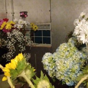 coldroom-with-split-AC-for-flowers
