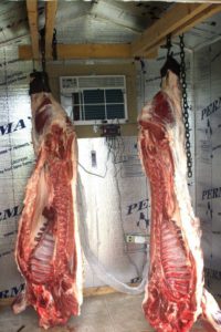 coldroom-with-split-AC-for-meat-and-poultry
