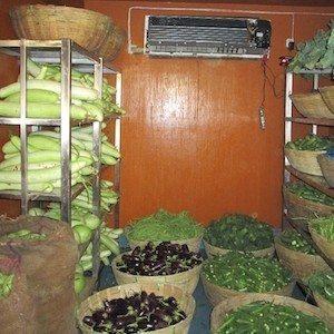 coldroom-working-on-solar-panel-for-fruits-and-vegetables