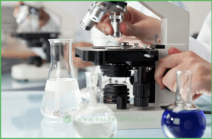 professional-laboratory-microscope-vackerglobal